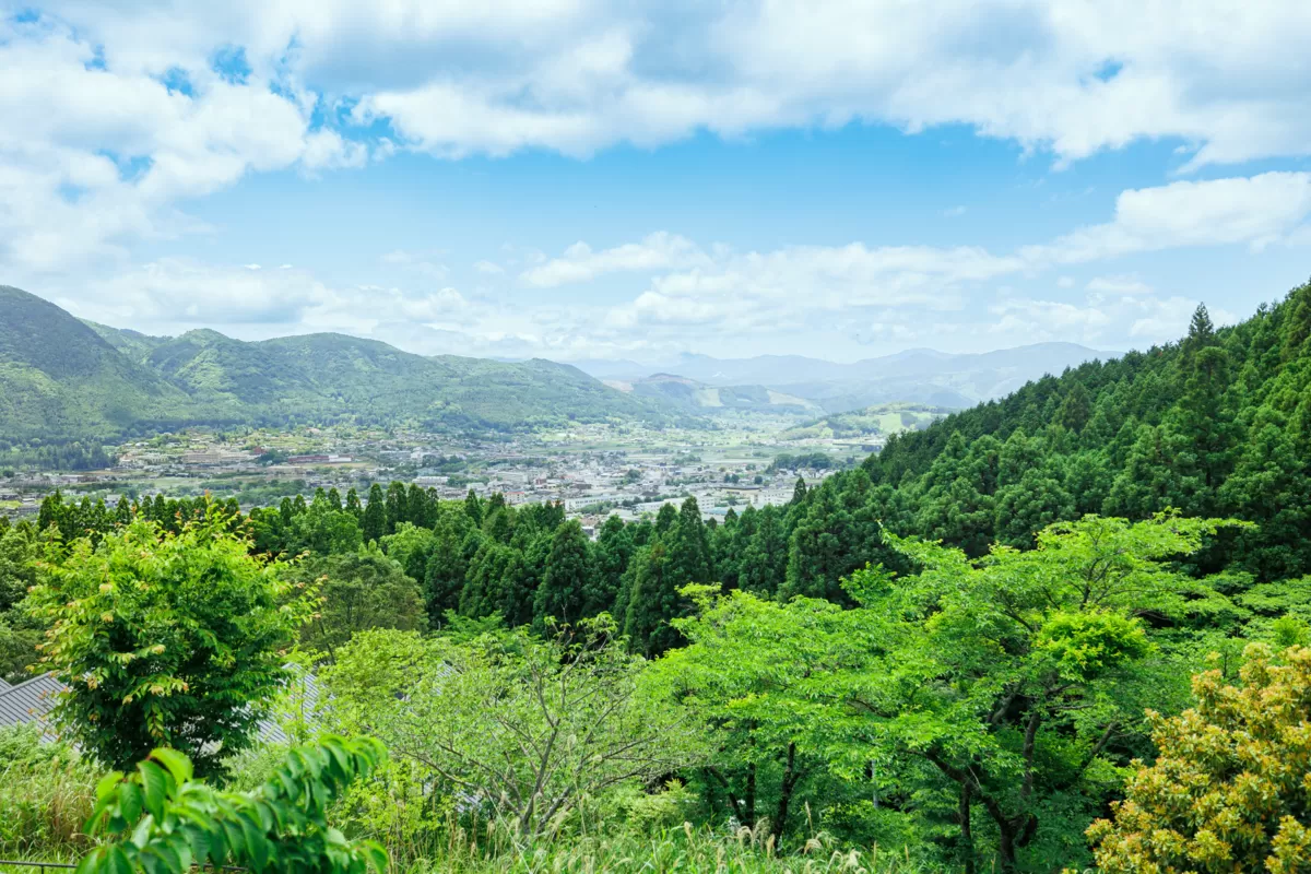 由布院の山あいを望む夏の風景