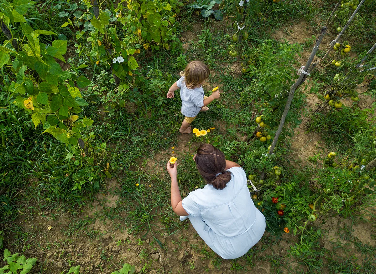 ENOWA FARMで夏野菜を収穫する親子